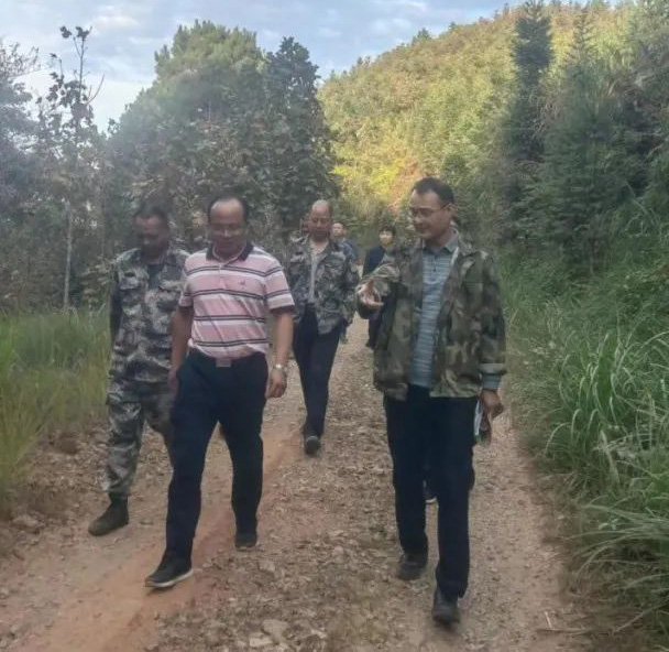 杉木種苗科技攻關(guān)項(xiàng)目專(zhuān)家鄭仁華博士至  福建金森調(diào)研杉木高世代森林資源培育工作