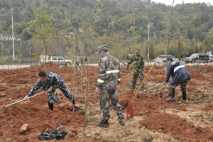 陽春三月雨，正是植樹好時節(jié)