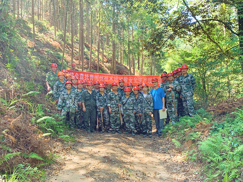 嚴(yán)把森林培育質(zhì)量關(guān)，譜寫資源培育新篇章