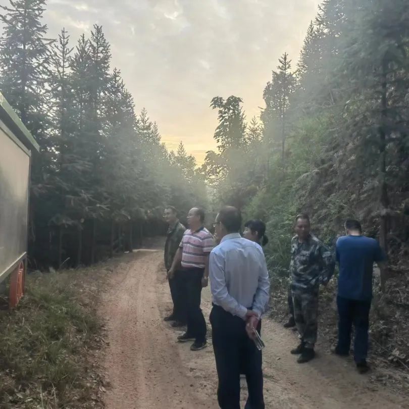 1667459049169477.jpg 1667459049169477.jpg