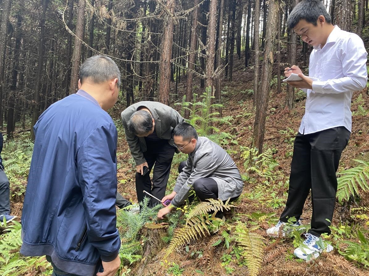 1675148123318447.jpg 1675148123318447.jpg