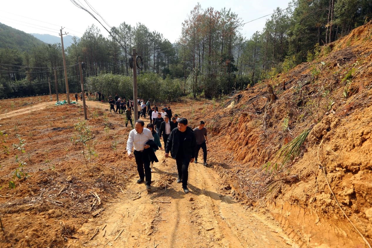不負(fù)春光好，搶播萬畝林 ——將樂縣村企合作造林工作現(xiàn)場會在福建金森召開
