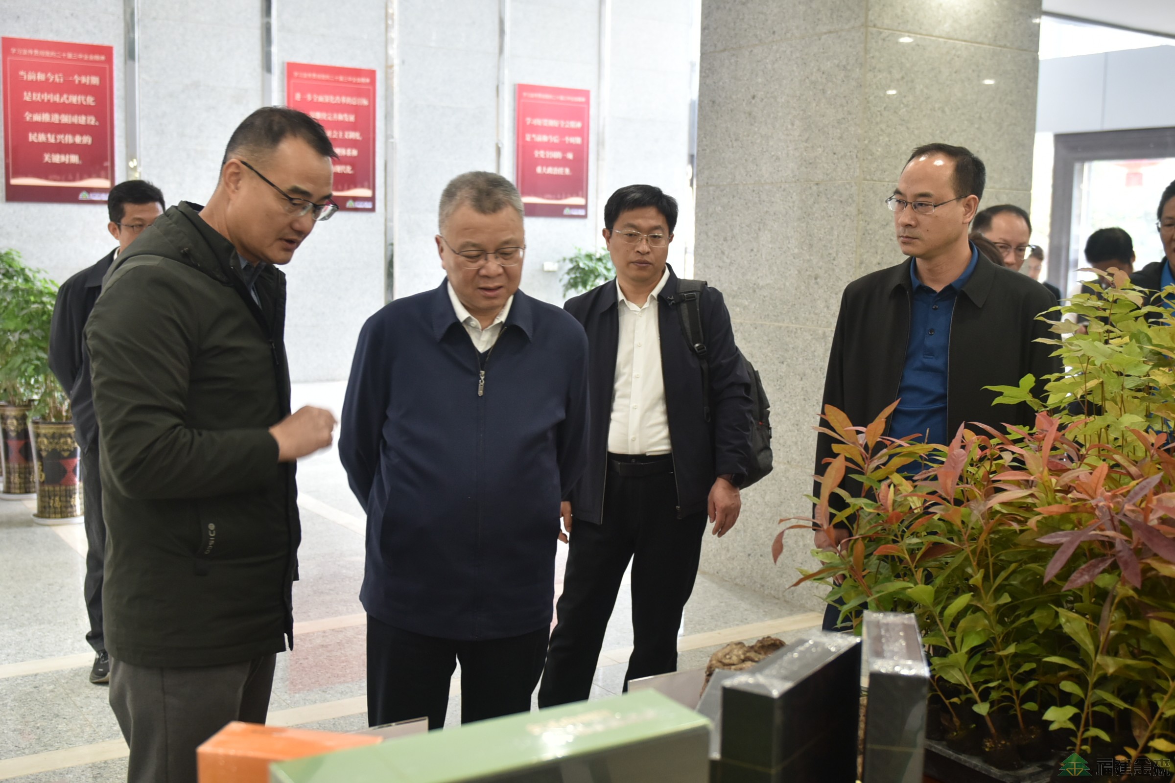 南京林業(yè)大學至福建金森調研 南京林業(yè)大學至福建金森調研