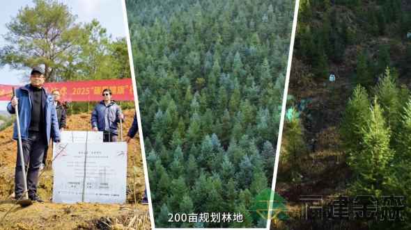 全國(guó)首個(gè)!!!“滬明杏林”醫(yī)療碳匯林項(xiàng)目成功啟動(dòng) 福建金森攜手多方共推醫(yī)療與生態(tài)融合發(fā)展新范式 全國(guó)首個(gè)!!!“滬明杏林”醫(yī)療碳匯林項(xiàng)目成功啟動(dòng) 福建金森攜手多方共推醫(yī)療與生態(tài)融合發(fā)展新范式